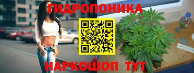 2c-b Моздок