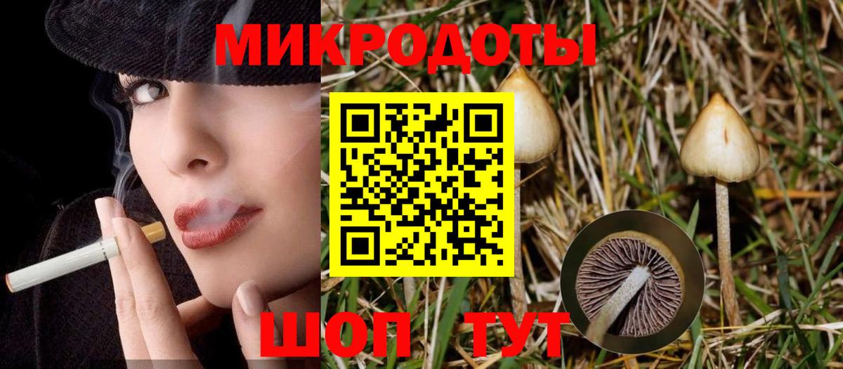 Дзержинский  Галлюциногенные грибы GOLDEN TEACHER  Галлюциногенные грибы Psilocybe  Вход с VPN 